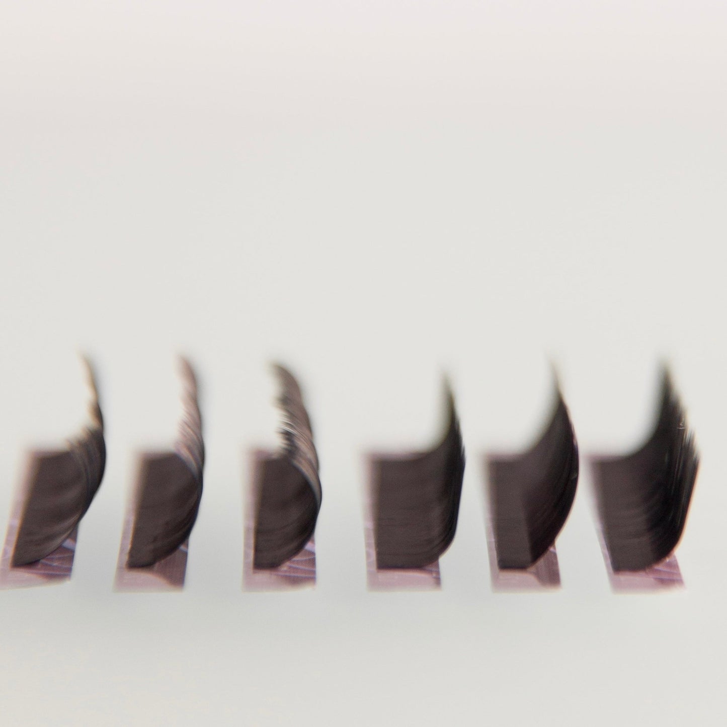 Black Lashes 0,12 Violet Collection AngeLash - Angelash