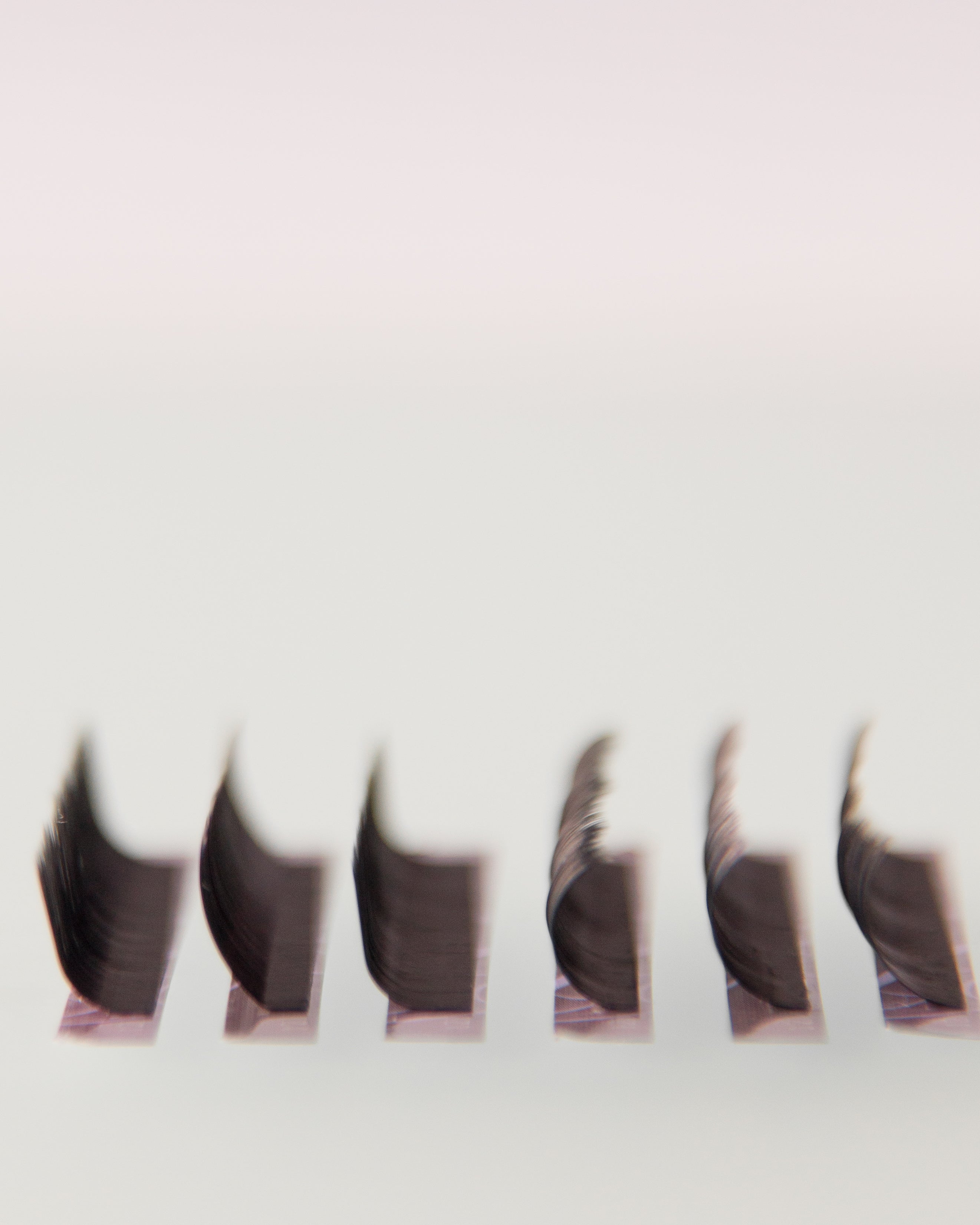 Curls of lashes - Angelash