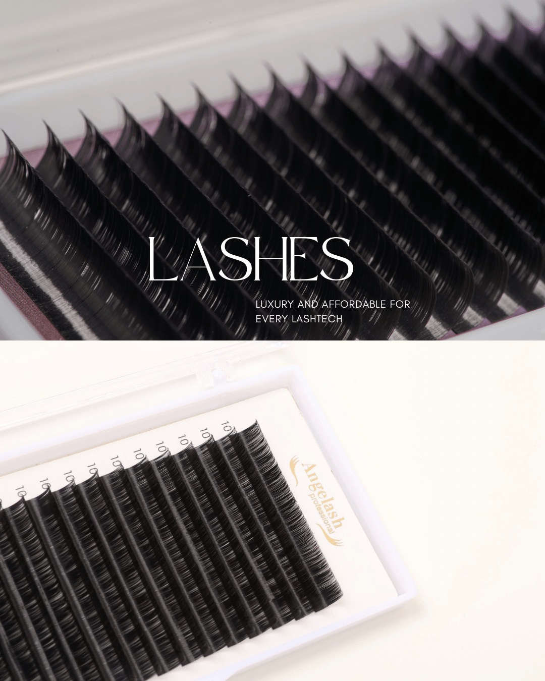 Eyelash Extensions Tray – AngeLash