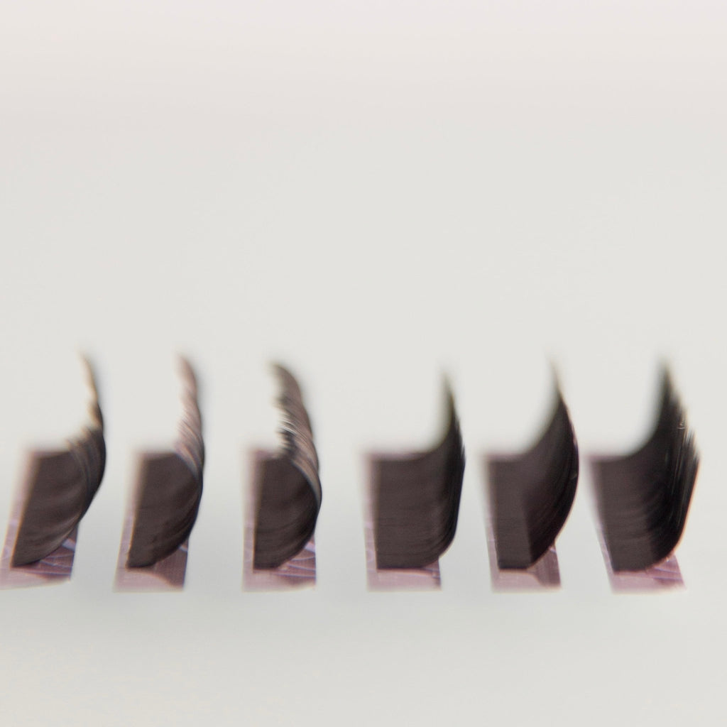 Black Lashes 0,12 Violet Collection AngeLash - Angelash