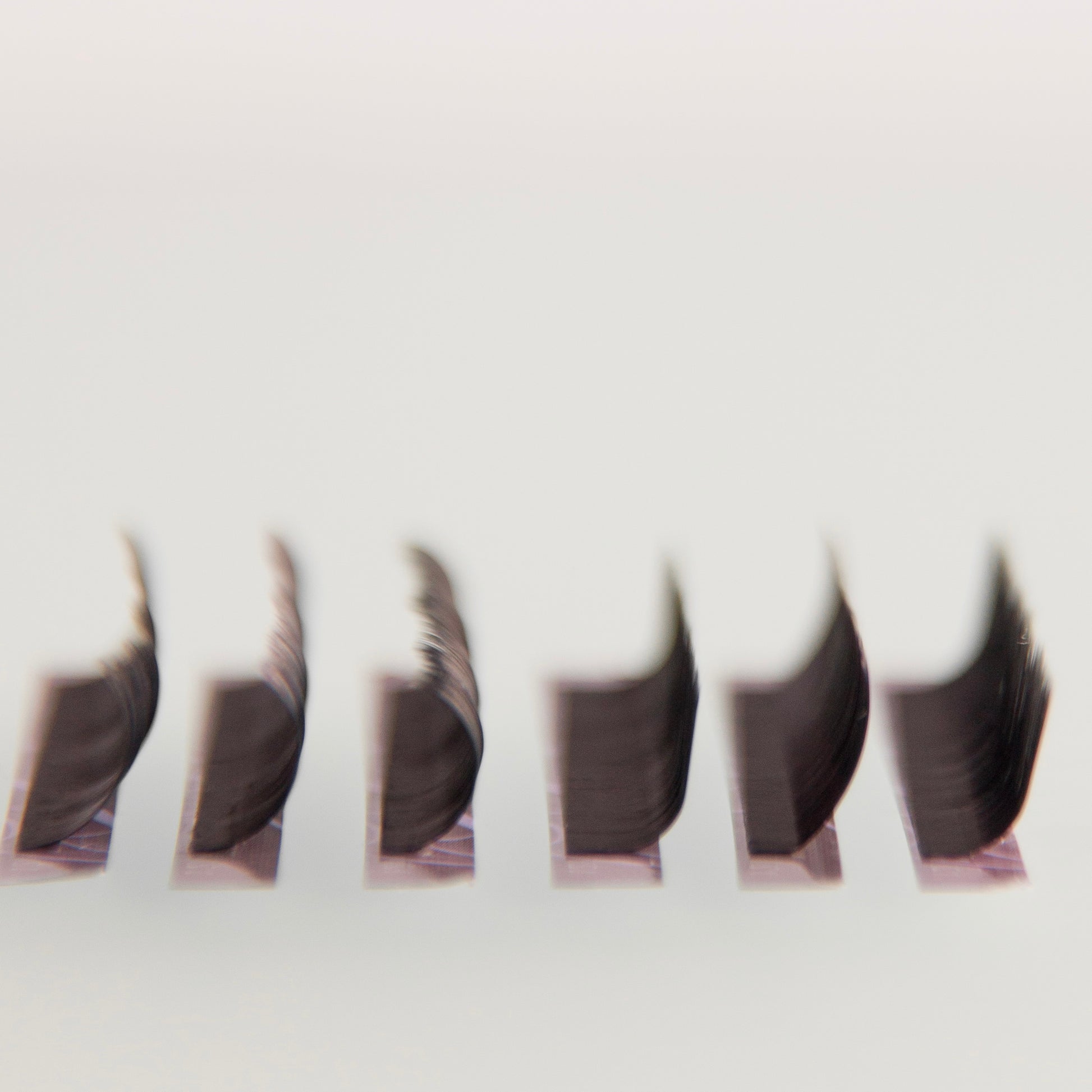 AngeLash Black Volume Lashes 0.12 – premium eyelashes for eyelash extensions