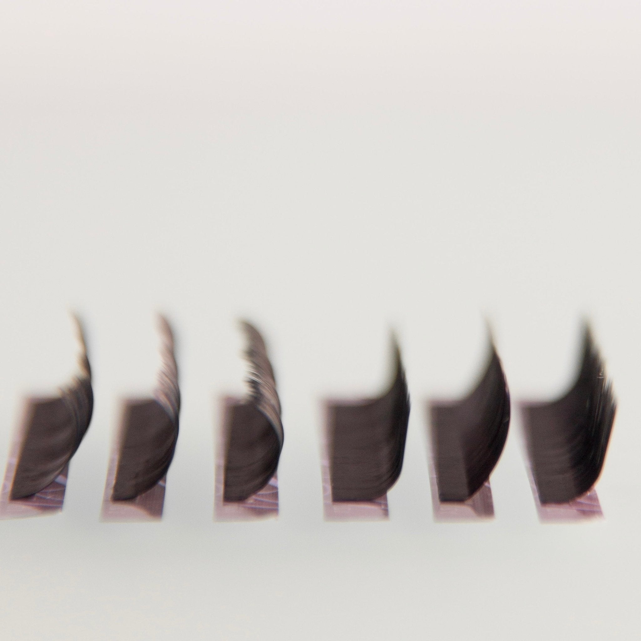 Black Lashes 0,12 Violet Collection AngeLash - Angelash