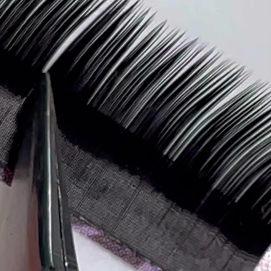 AngeLash Black Volume Lashes 0.12 – premium eyelashes for eyelash extensions